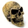 Crâne en Résine 'Omega Skull'
