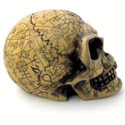 Crâne en Résine 'Omega Skull'
