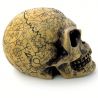 Crâne en Résine 'Omega Skull'