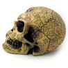 Crâne en Résine 'Omega Skull'