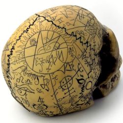Crâne en Résine 'Omega Skull'