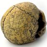 Crâne en Résine 'Omega Skull'