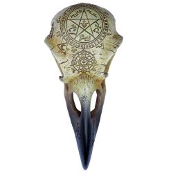 Corvus Alchemia Mythical Raven Skull Omen & Lost Souls Alchemy Vault 