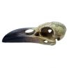 Crâne de Corbeau en Résine 'Omega Raven Skull'