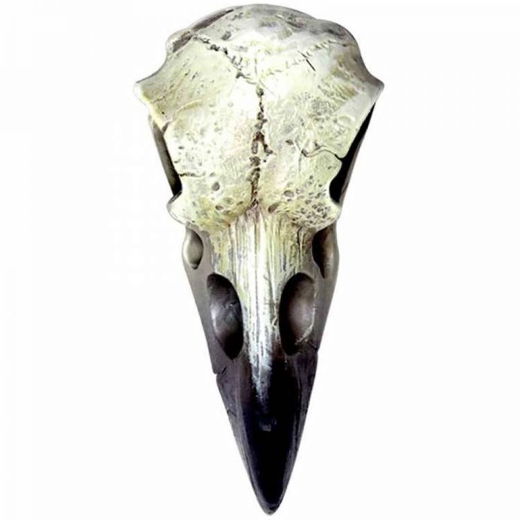 Reliquary Raven Skull