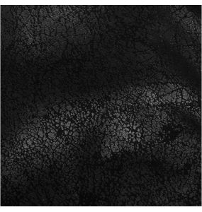 Black 'Poisonblack' Males Jacket