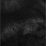 Black 'Poisonblack' Males Jacket