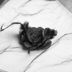 Voile 'Gardenia' Noir