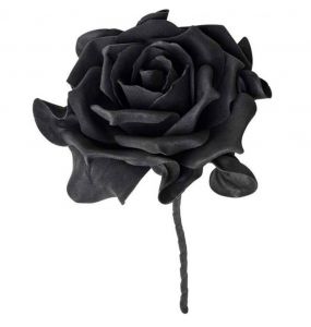 Rose Noire Unique avec Tige