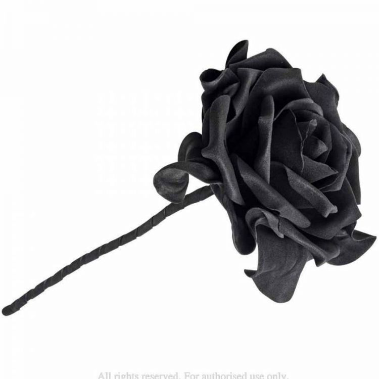https://www.thedarkstore.com/33296-large_default/single-black-rose-with-stem.jpg
