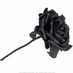 Rose Noire Unique avec Tige