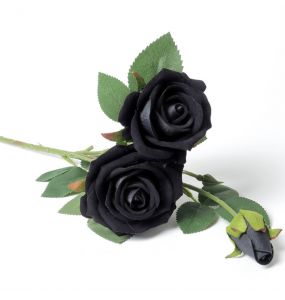 Black Rose Spray