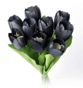 Black Tulips Bunch of 9 Heads