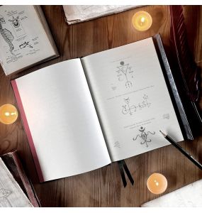 Notebook 'Poe's Raven' Foiled Journal