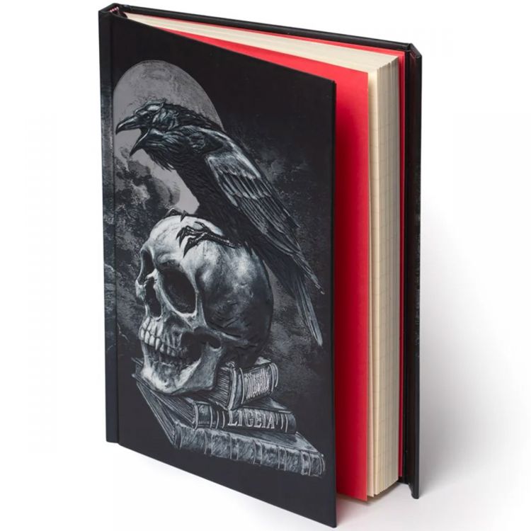 Carnet 'Poes Raven' Journal