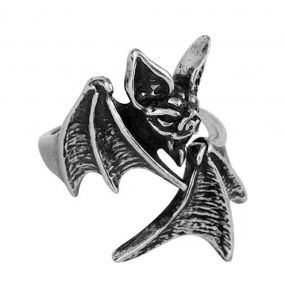 Bague 'Nighthawk'