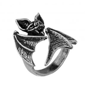 Bague 'Nighthawk'