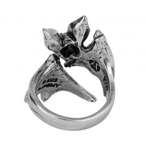 Bague 'Nighthawk'