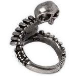 Resurrected Ring