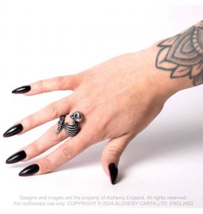 Resurrected Ring