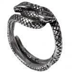 Consprimus Ring