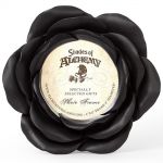 Black Night Rose Photo Frame