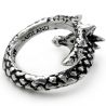 Bague 'Vis Viva'
